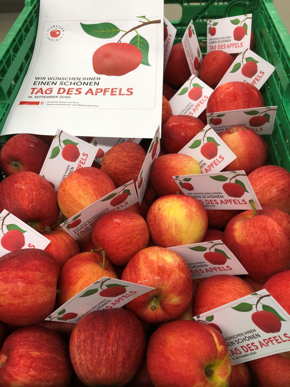 Apfel 2.jpg Apfel 2.jpg