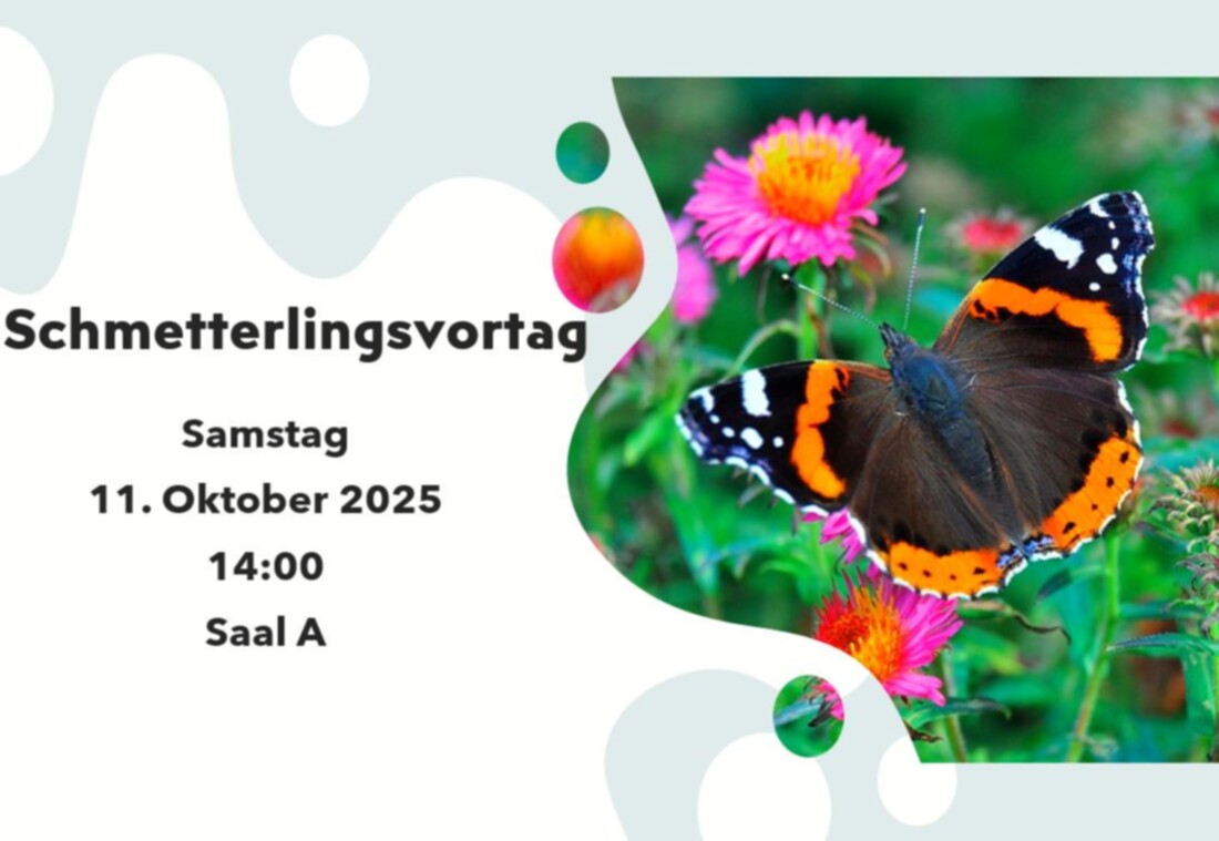 Schmetterlingsvortrag 