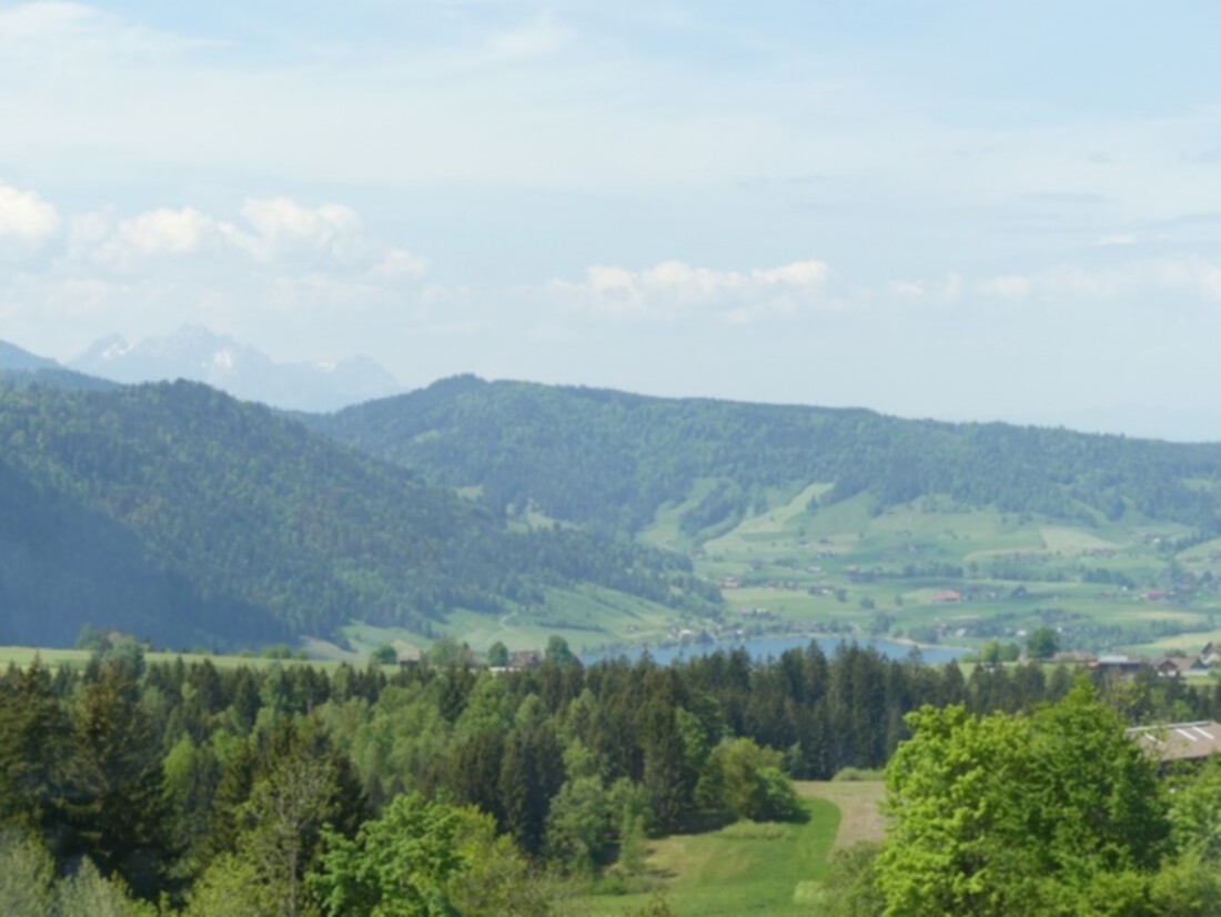 Bild1_40yprjv2pqh9.jpg